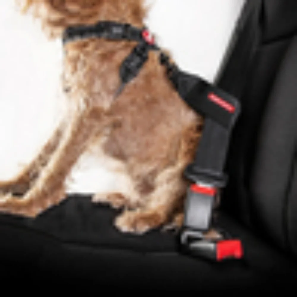 Ezy pet dog Or Cat Car Seat Belt Restraint